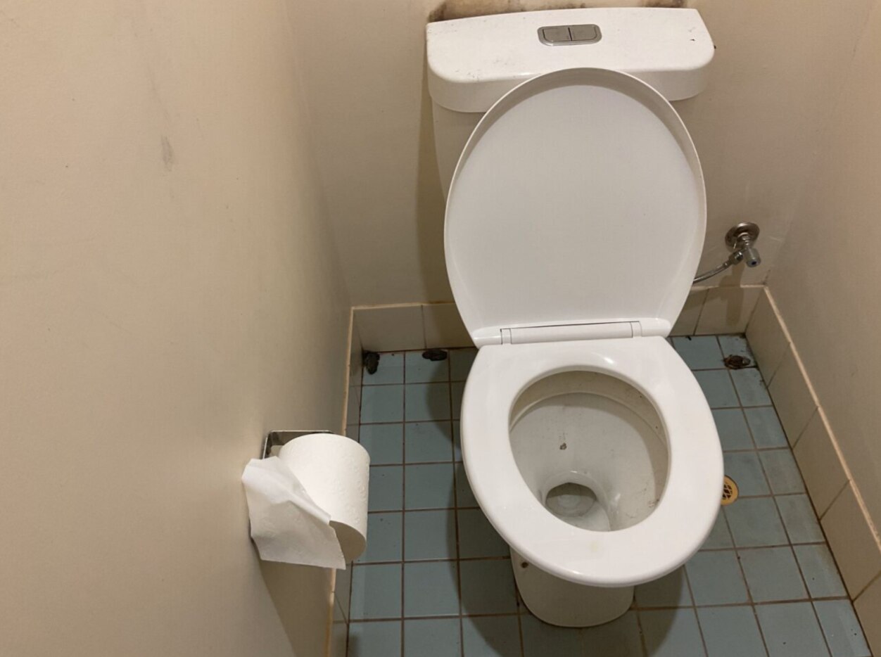 Sanita branca com tampa aberta. Três sapos mortos no chão de ladrilhos cinzentos. 