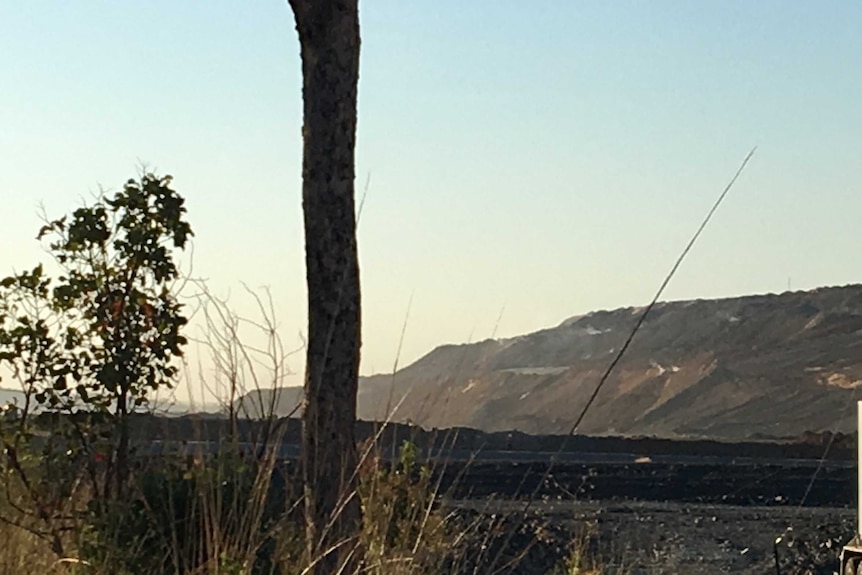 A photo shows a tree in the foreground and sulphur dioxide smoke was still emanating out of the waste rock dump.