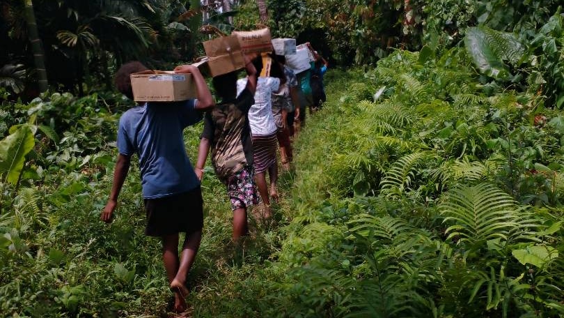 A group of people holding boxes on their shoulders walk through a green jungle.