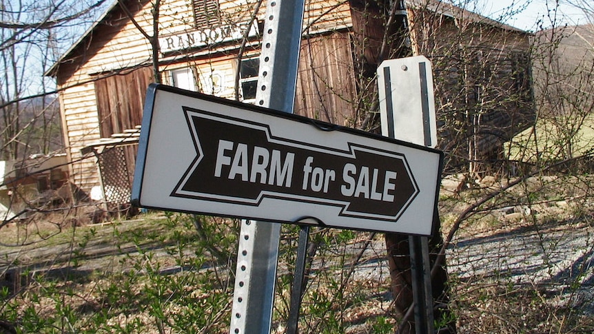 Farm for sale