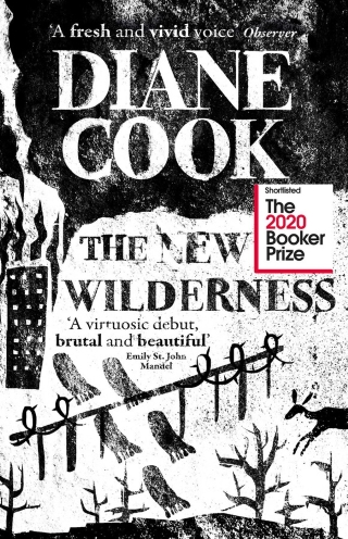 The book cover of The New Wilderness by Diane Cook, black and white graphics