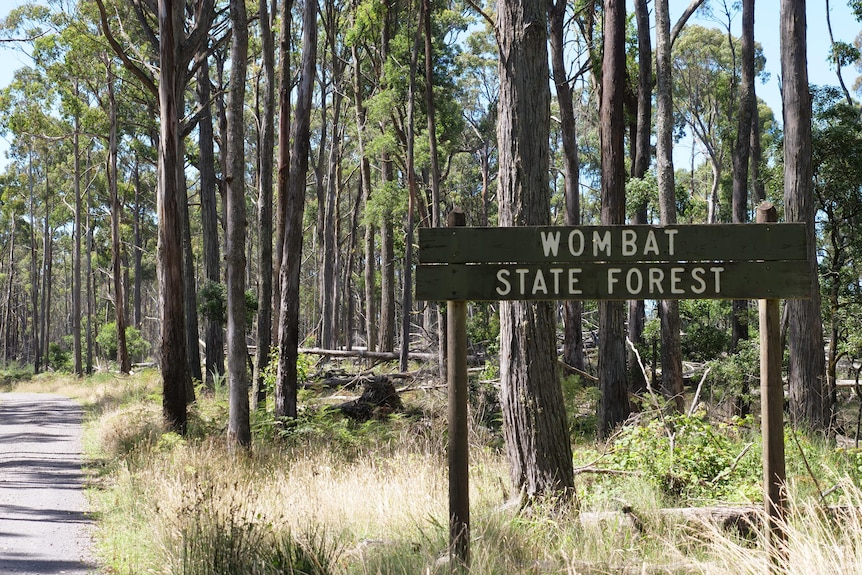 tree species A forest with a sign that says wombat state forest in front of trees