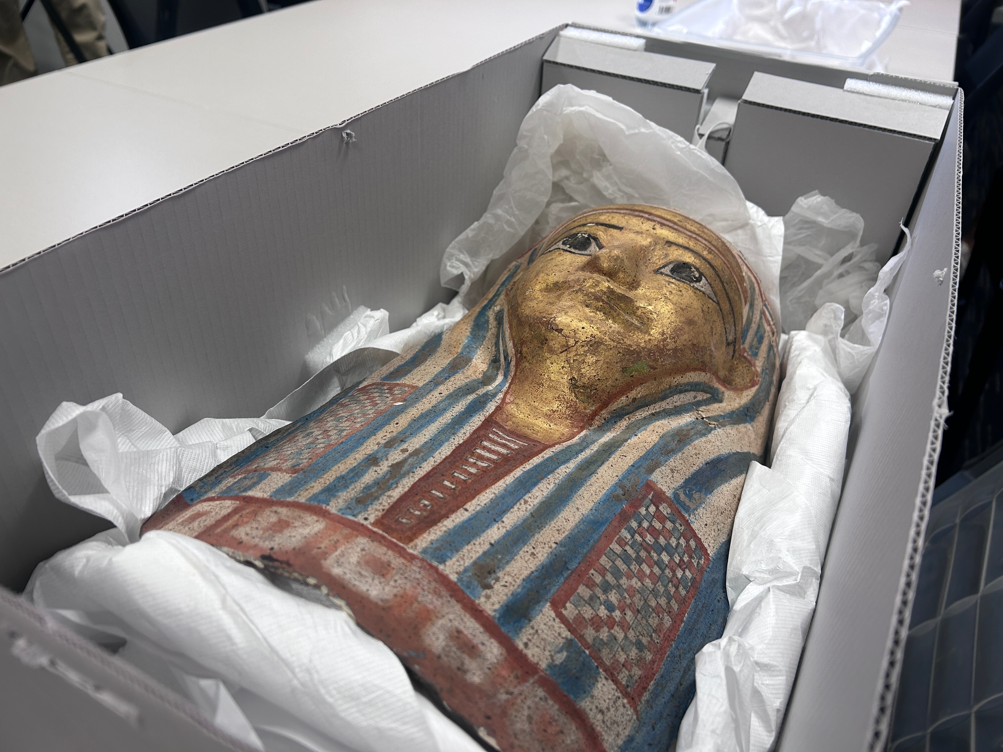 Studying Mummies can tell us about the past… and provide cures for the future