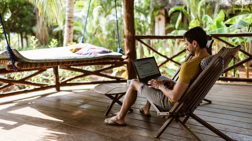 Man sitting on a a deck chair with a lap top on a deck with palm trees in the background