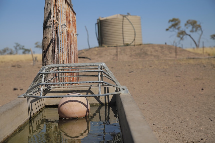 A faded orange ball floats in a concrete water trough with a water tank in the background on a hill.