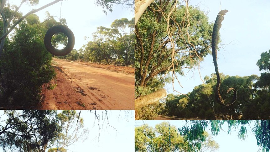 tyres hang from trees on a dirt road