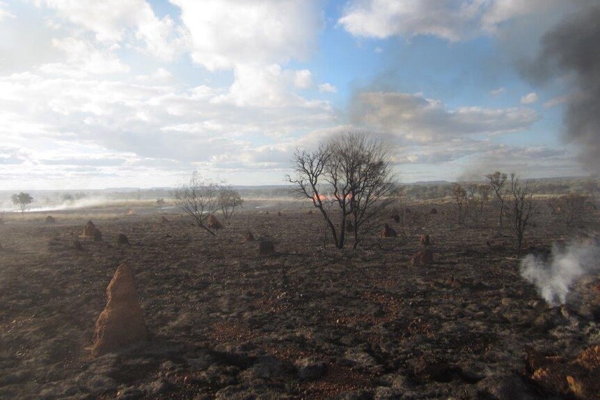 A landscape shot of a paddock after a fire spread through it