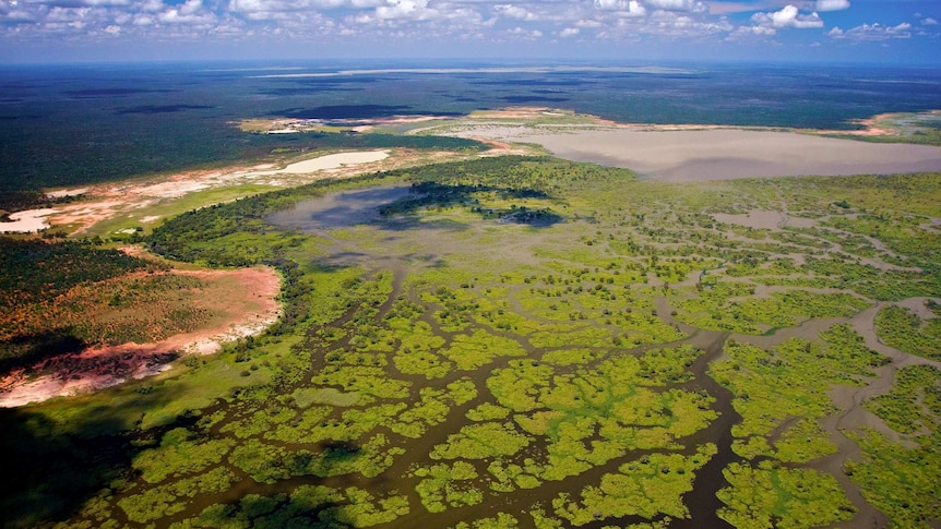 An aerial view of wetlands in Naran Lake Nature Reserve in New South Wales