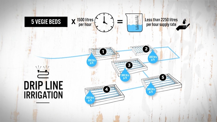 Let It Flow - Drip Irrigation - Gardening Australia