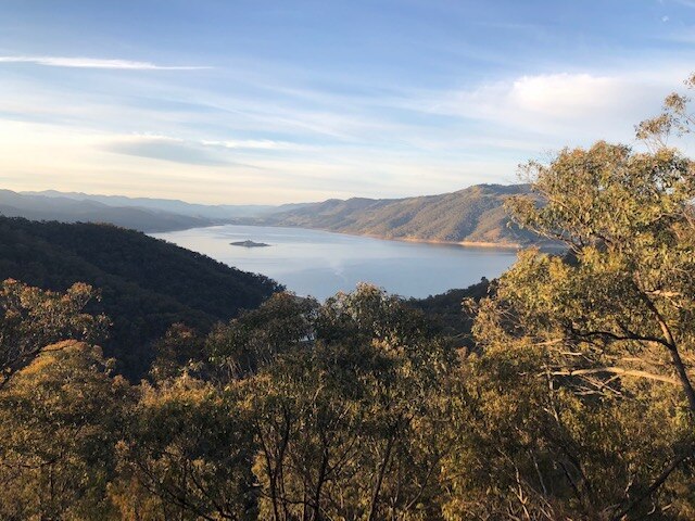 Overlooking a large dam with high water levels through the trees.