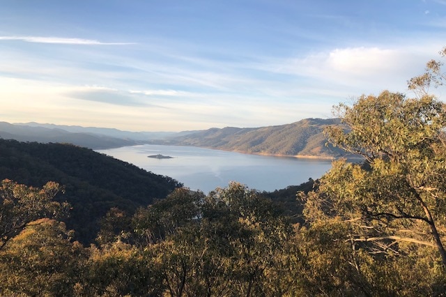 Overlooking a large dam with high water levels through the trees.