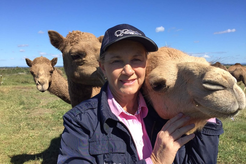 Lauren Brisbane with her camels