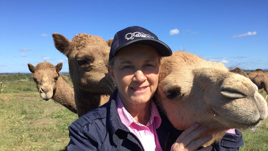 Lauren Brisbane with her camels