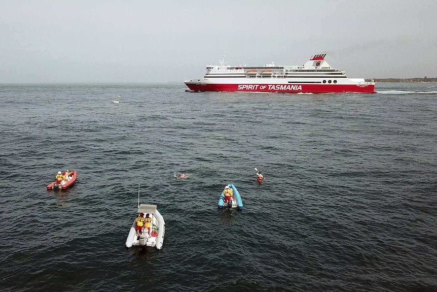 The Spirit of Tasmania caused delays