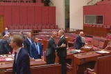 Two senators shake hands in the federal Senate