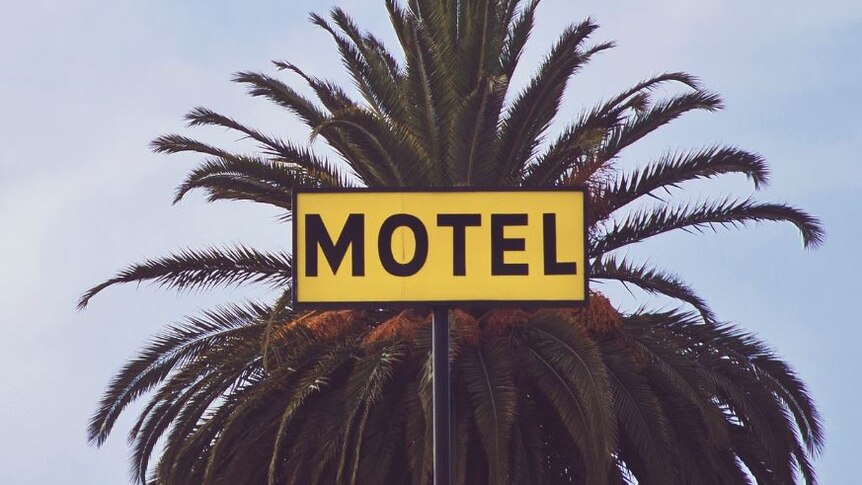 Photo of a sign that says motel, there is a palm tree behind the sign 