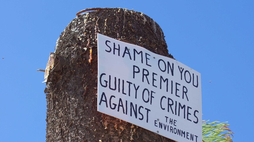 A message criticising the now former premier Colin Barnett on a tree stump