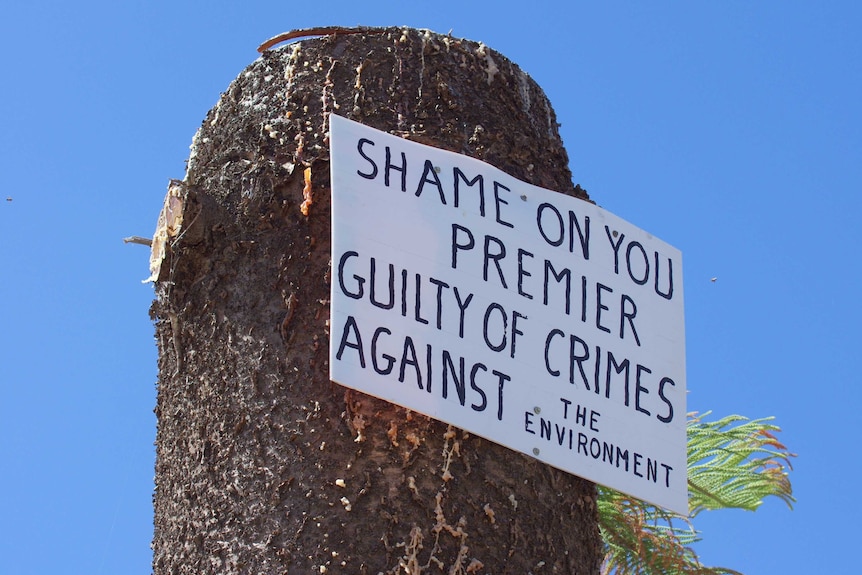 A message criticising the now former premier Colin Barnett on a tree stump