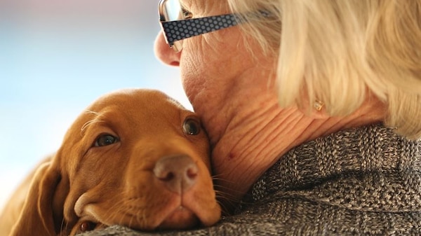 Photo of brown puppy being held by a lady with glasses