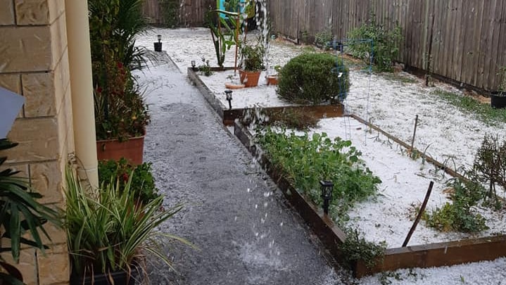 Hail in the backyard of a home.