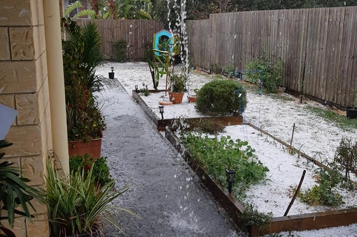 Hail in the backyard of a home.