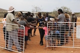 a group of people near a gate