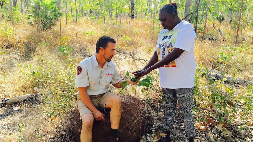 Kakadu NP manager Pete Cotsell sits on a large rock with Jawoyn senior traditional owner, Bessie Coleman standing beside him