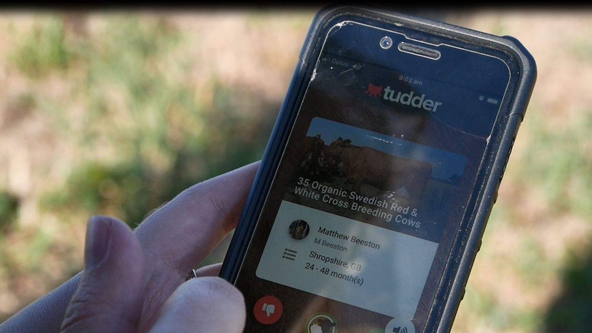 Mobile phone open on Tudder app