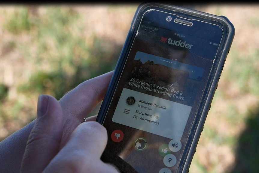 Mobile phone open on Tudder app