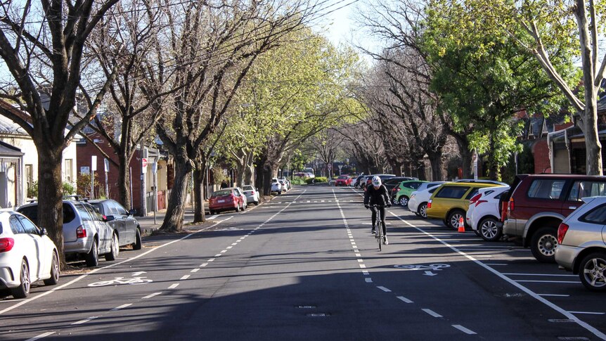 A Fitzroy street with two bike lanes and trees and parked cars  lining either side of the road. A cyclist rides down one side.