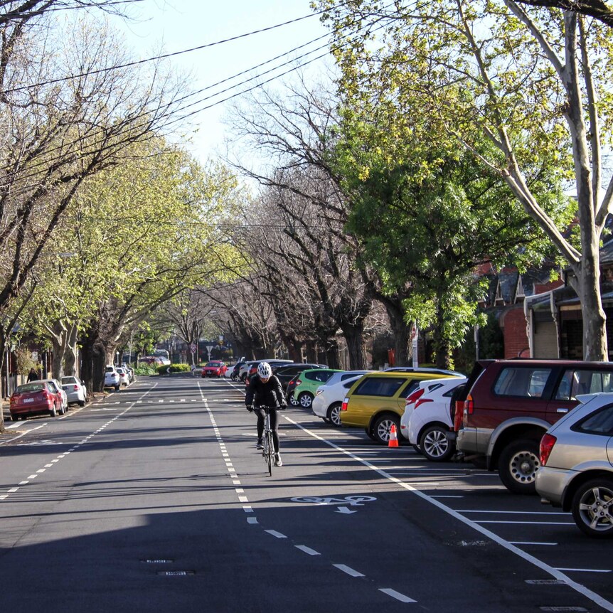 A Fitzroy street with two bike lanes and trees and parked cars  lining either side of the road. A cyclist rides down one side.