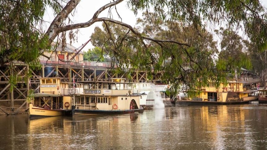 Photo of wooden building structure next to the Murray river framed by a tree