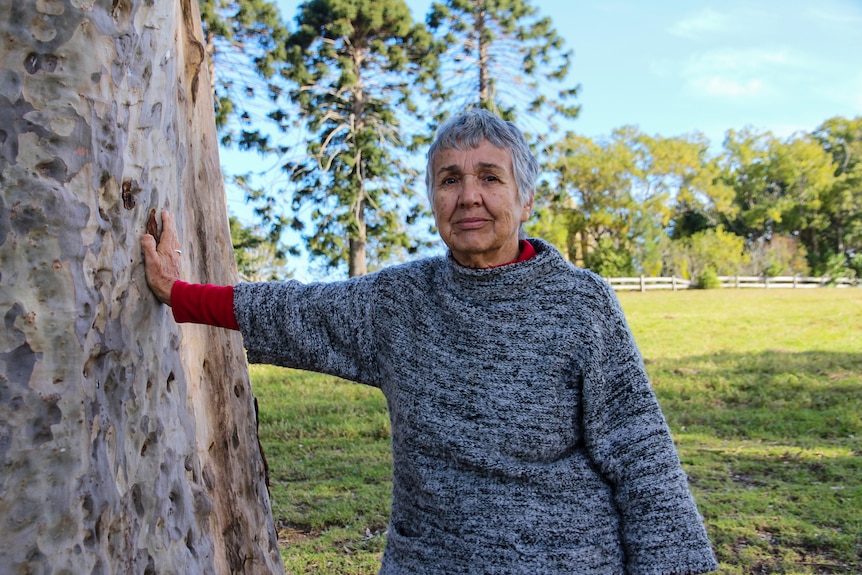 A lady with short grey hair leans against a big gum tree looking at the camera.