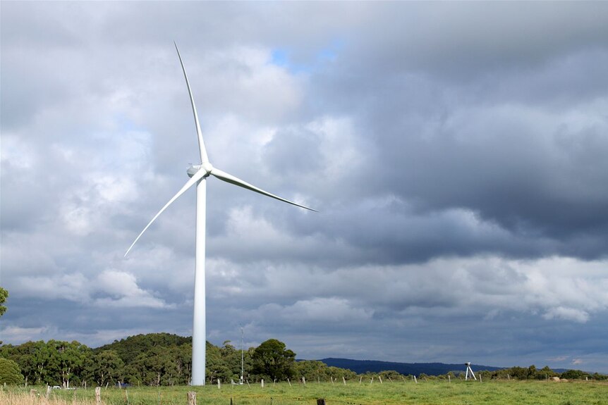 Hepburn wind turbine (ABC Local: Margaret Burin)
