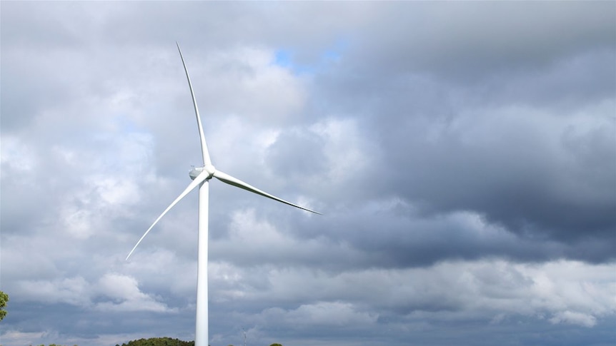 Hepburn wind turbine (ABC Local: Margaret Burin)