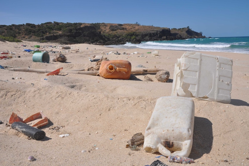trash lies across a remote beach