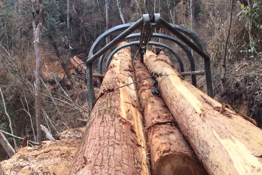 A point of view shot on top of a logging truck in the jungle.