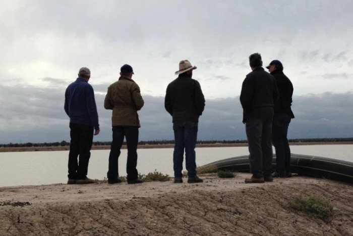 Men standing around talking in the bush.