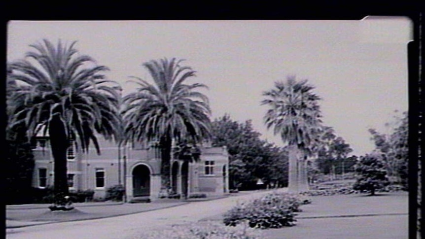 A black and white photo of an historical building with several large palm trees in the grounds.