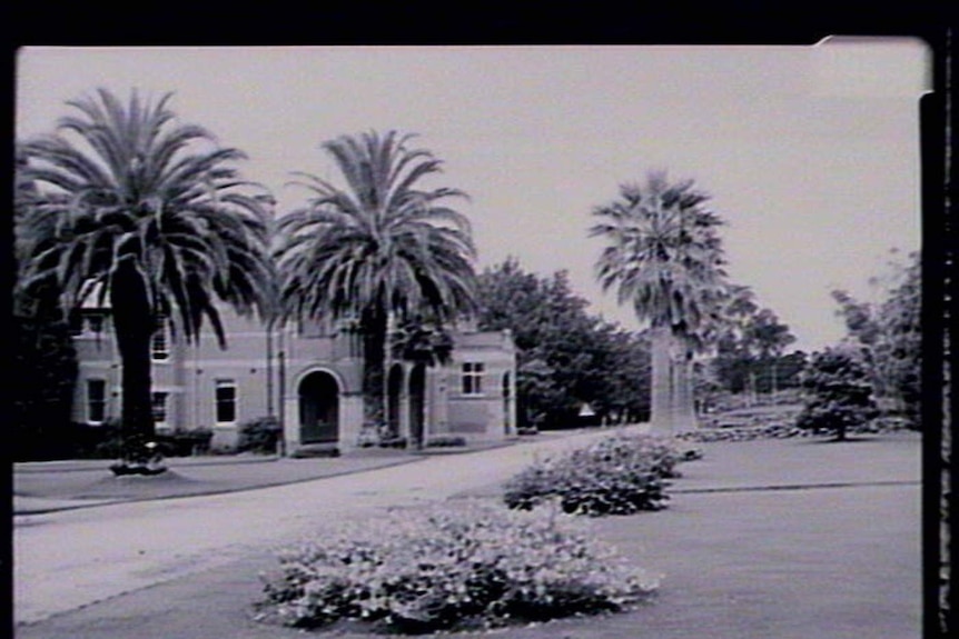 A black and white photo of an historical building with several large palm trees in the grounds.