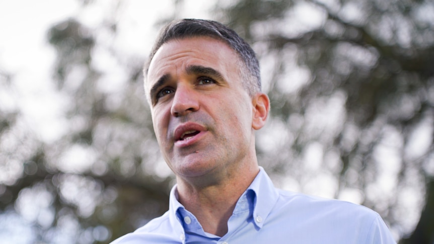 A man talks with media microphones in front of him and trees behind him