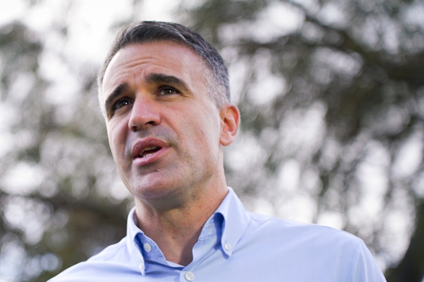 A man talks with media microphones in front of him and trees behind him