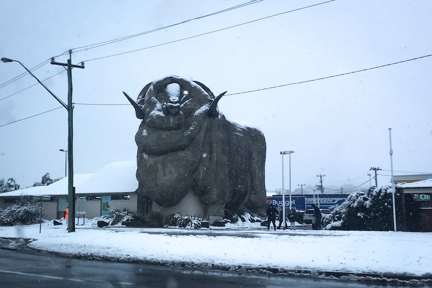 Snow on Goulburn's Big Merino statue.