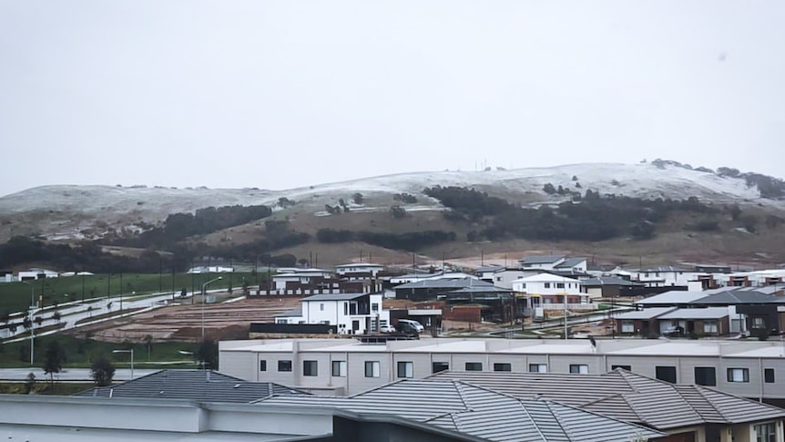 One Tree Hill in Gungahlin covered in snow.