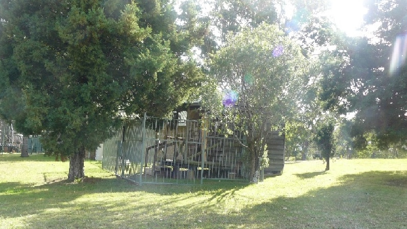 A family alleges their son was held in a cage like structure at Sydney school.