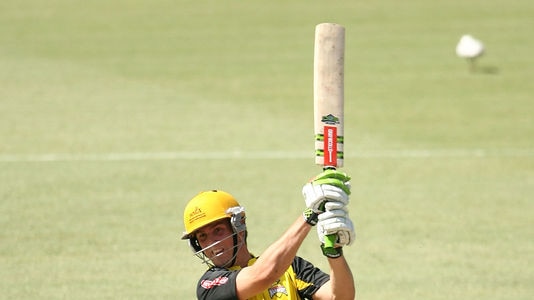 Big hitter ... Marsh made his transition from the shorter forms of the game to play in six Sheffield Shield matches.