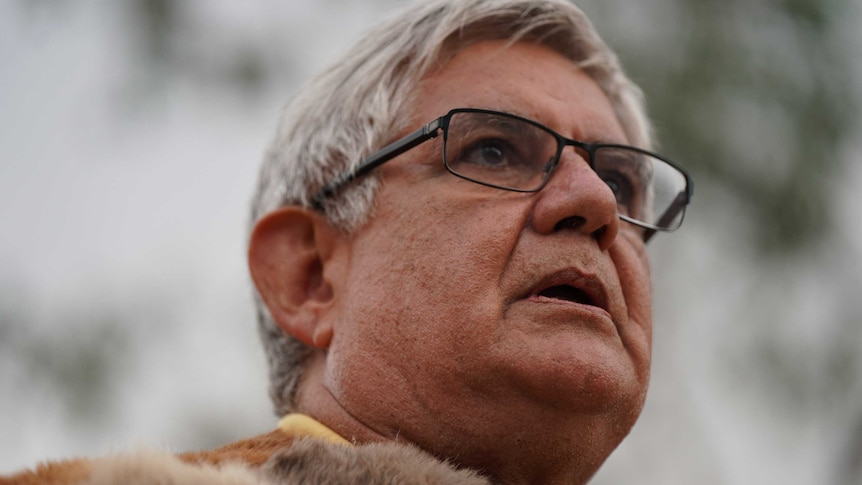 A close up image of Ken Wyatt wearing a fur cloak. 