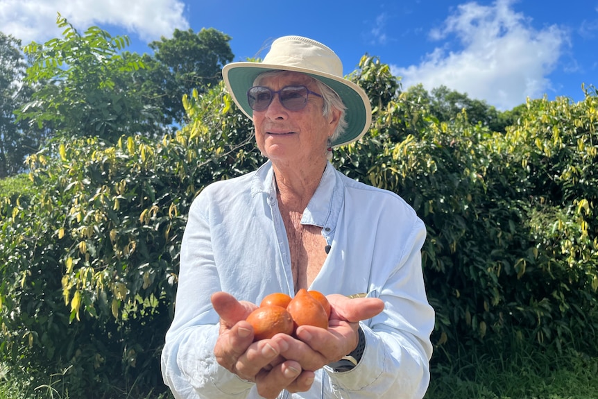 woman looking off camera in blue blouse holds a handful of small orange fruit called achacha. 