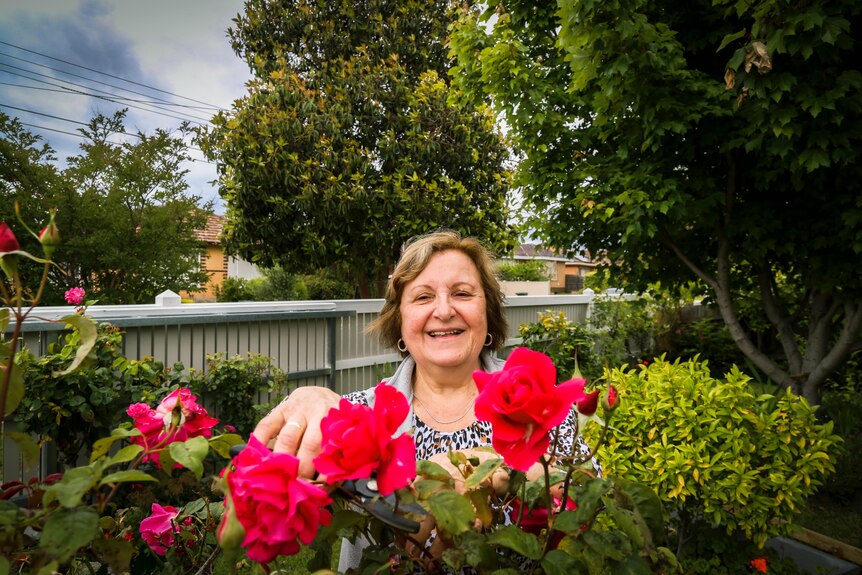 A woman smiles joyfully as she prunes the roses in a sunny backyard