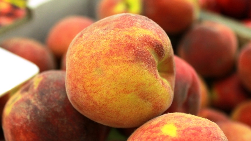 Riverland peaches for sale at a farmers market